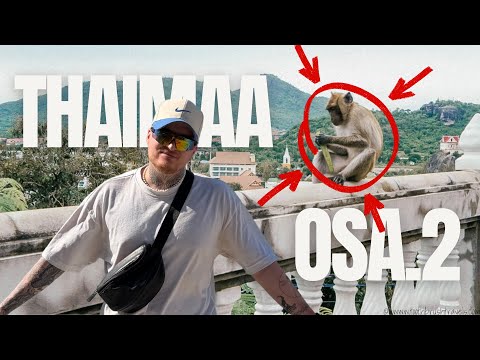 APINATEMPPELI JA SALAINEN VESIPUTOUS KAHVILA! (Thaimaa osa.2)