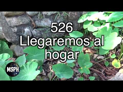 HA62 | Himno 526 | Llegaremos al hogar