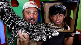 What's In The Box GUAVA?  Fake Snake Prank by Prehistoric Pets TV