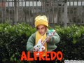 love me   alfredoelunico