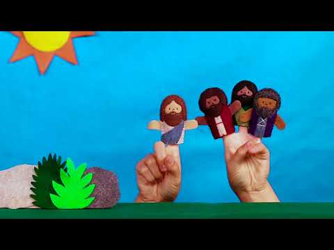 Witness21 Editor  2017 08 31