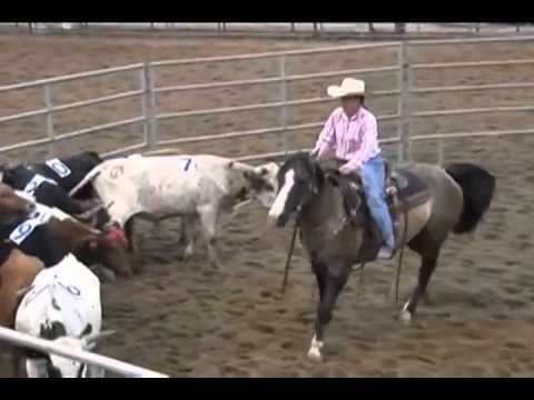 HARAS E RAÇAS - UNIVERSIDADE DO CAVALO (QUINTA-FEIRA)