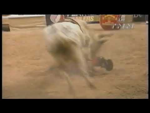 DeWalt Power bucks Gilbert Carrillo - 99 PBR Finals