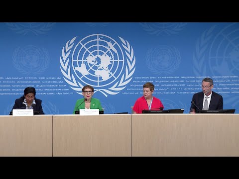 The Digital Economy Report 2024: press conference | UN Trade and Development