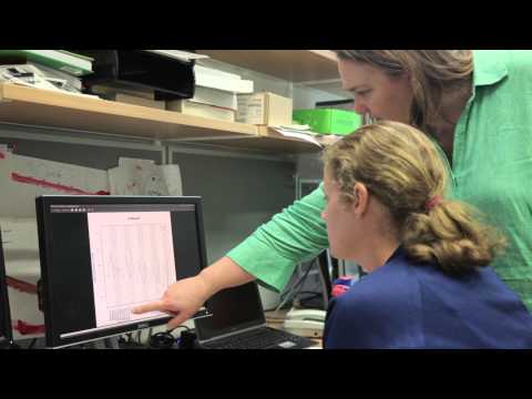 How Cells are Programmed