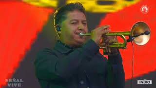El Gran Silencio - Cumbia Lunera (En Vivo Vive Latino 2019)