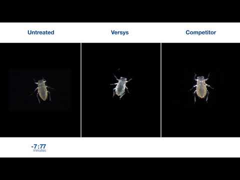 Versys® Insecticide – Aphid Time Lapse