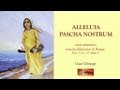 ALLELUIA PASCHA NOSTRUM 
