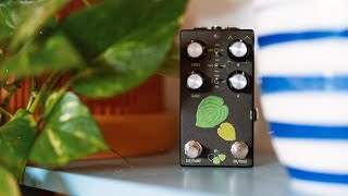 Video thumbnail for Flower Pedals: Hosta Wah Filter by Living Room GD