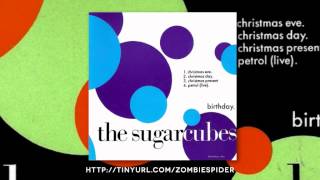 The Sugarcubes - Birthday (Christmas Eve Christmas Day remix) Jesus And Mary Chain, Bjork