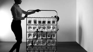 Cheatahs - The Swan ft. Cheatahs