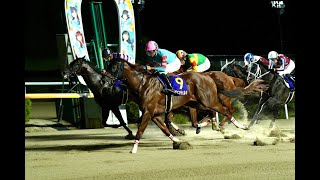 【佐賀競馬】第25回 サマーチャンピオン(JpnⅢ)（2025.9.4）