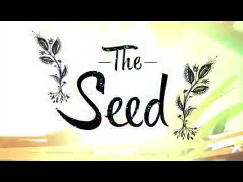 Owlegories S1 EP2 The Seed