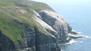 preview picture of video 'Cape St. Mary's Ecological Reserve - Part 1 of 5'