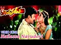 హైలెస్సా నాయుడోయ్ నాయుడోయ్ వీడియో సా