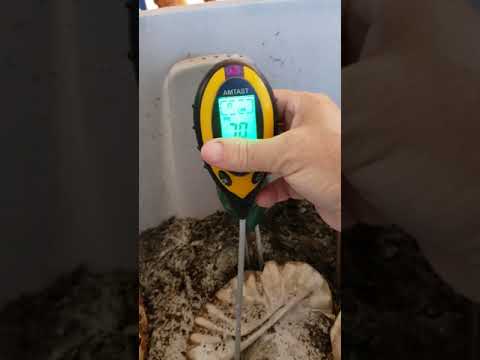 Testing & adjusting the PH in a worm bin