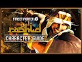 Street Fighter 6 Character Guide Rashid