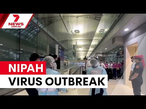 Calls to screen passengers amid deadly Nipah virus outbreak | 7NEWS