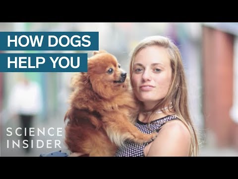 養狗對你的大腦和身體有什麼影響？ (What Having A Dog Does To Your Brain And Body)