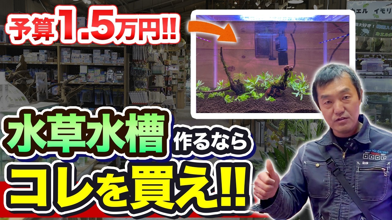 【完全版】1.5万円で水草とメダカを一緒に楽しむ水槽の作り方を紹介します!!【水草水槽】【初心者】