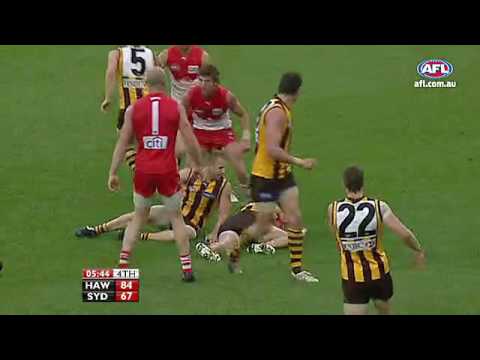 Hawk legend Luke Hodge's best moments