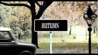 Interactive Multimedia Student Work