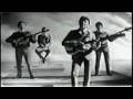 The Searchers "What Have They Done to the Rain ...