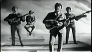The Searchers &quot;What Have They Done to the Rain&quot; 1964