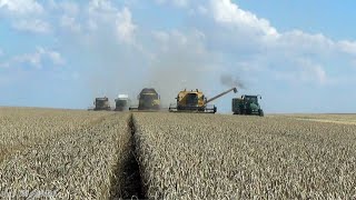 preview picture of video 'Agro-Bölcske Zrt Búza Aratás/wheat harvest [2014]'