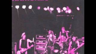 Animal Boy - Ramones - Live in Amsterdam 1986