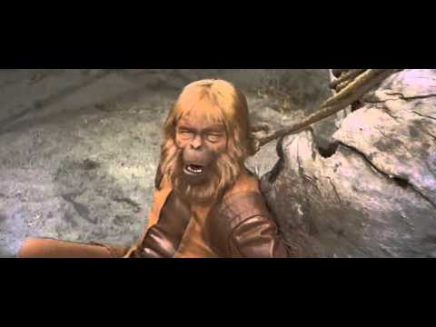 Planet of the Apes - Taylor, Zaius final scene