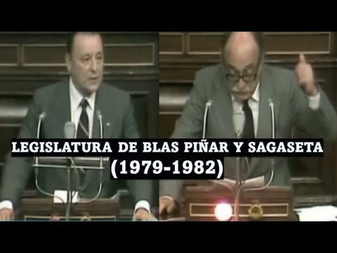 La Legislatura de Blas Piñar y Sagaseta (1979-1982)