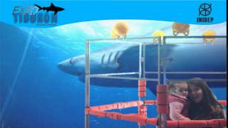 DIA 2 Expo Tiburon302