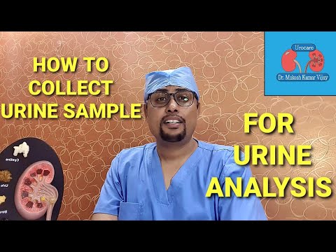 How to Collect Urine Sample For Culture?\Collection of urine\Midstream Clean Catch Urine Sample