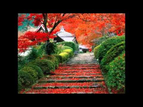 af ile magfiret arasındaki fark nedir musab köylüoglu