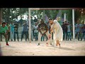 Lily S Cricket Batting Scene Dear Comrade Dhool Scene Ma