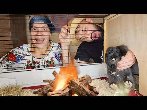 Petre Marioara and the RABBIT - A new house