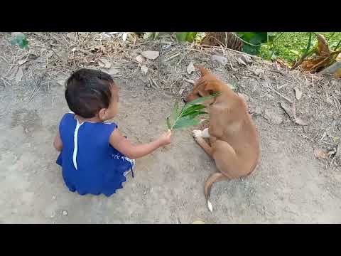 cute baby vs little dog