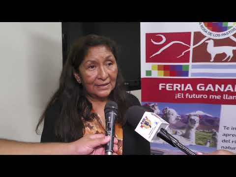 Todo listo para el inicio de la feria ganadera más importante de La Puna Salteña