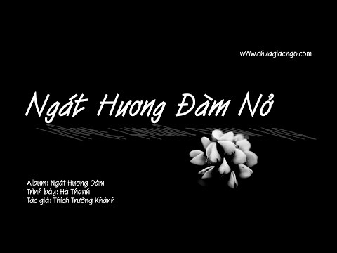 Ngát hương đàm nở