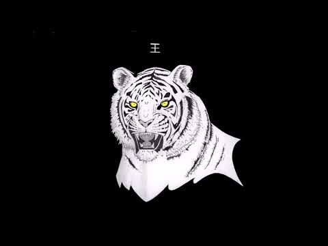 NATAS - Tutte le volte