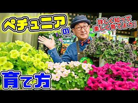 フォティニアについて詳しく解説