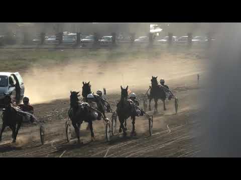 Trka "Delta Generali" 07.10.2018 Jeger Sweep-Miodrag Dimitrijević