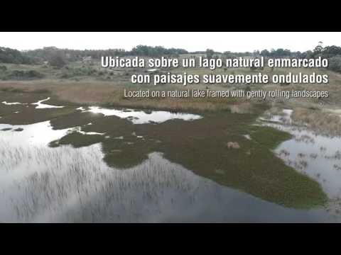 Laguna Blanca - Punta del Este