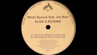 White Spaces feat. Jim Kerr ‎– Alive & Kicking (Phunk Investigation Mastica Dub)