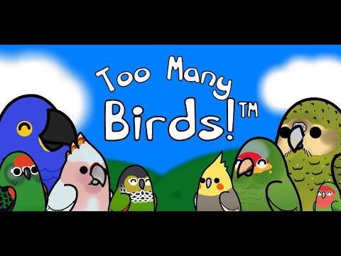 Too Many Birds!™ Video