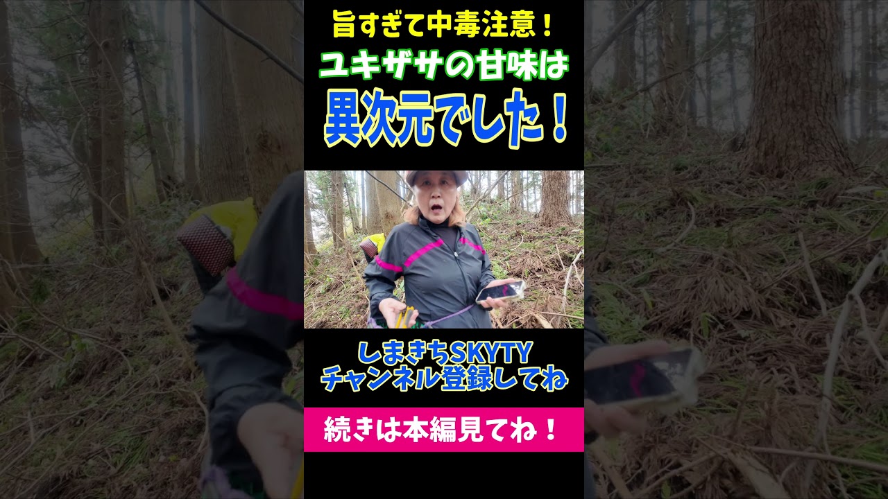 ユキザサの甘味は異次元でした