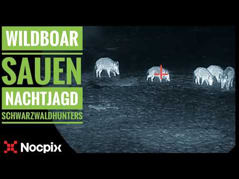 WILD BOAR | Night hunting for wild boars | WILDBOAR Night Hunting with Nocpix | Schwarzwaldhunters