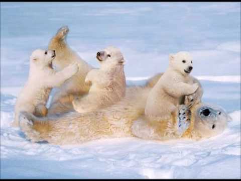 Los juicios de Jehová contra la gente desafiadora de ley