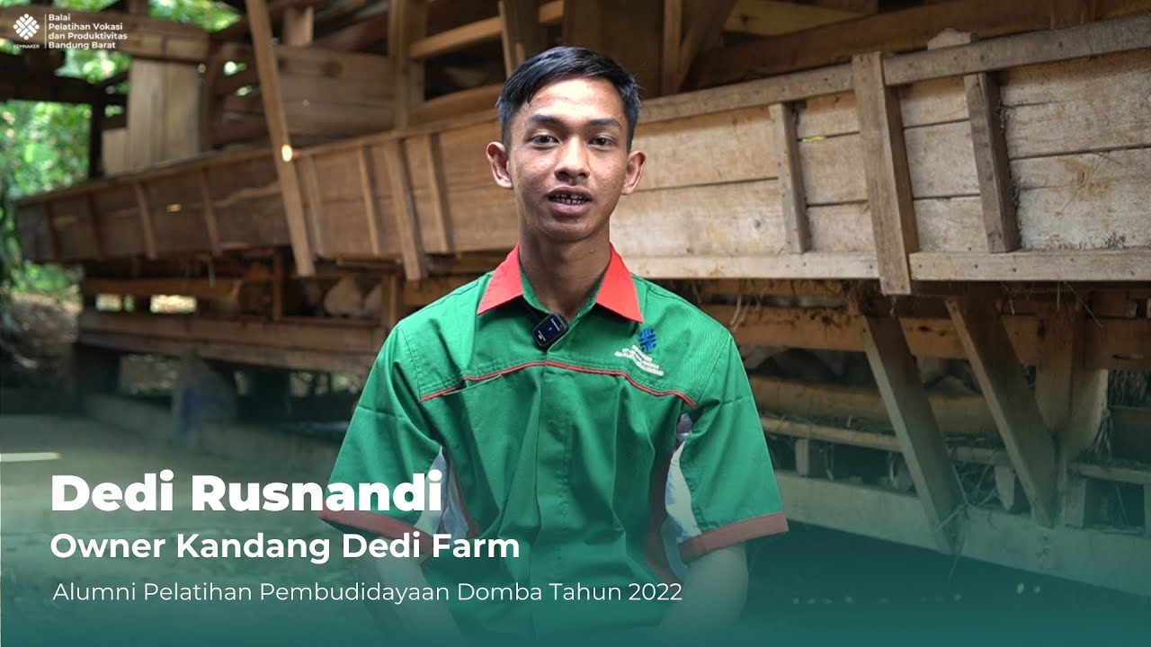 Dedi Rusnandi Alumni Pelatihan Pembudidayaan Domba : Kandang Dedi Farm